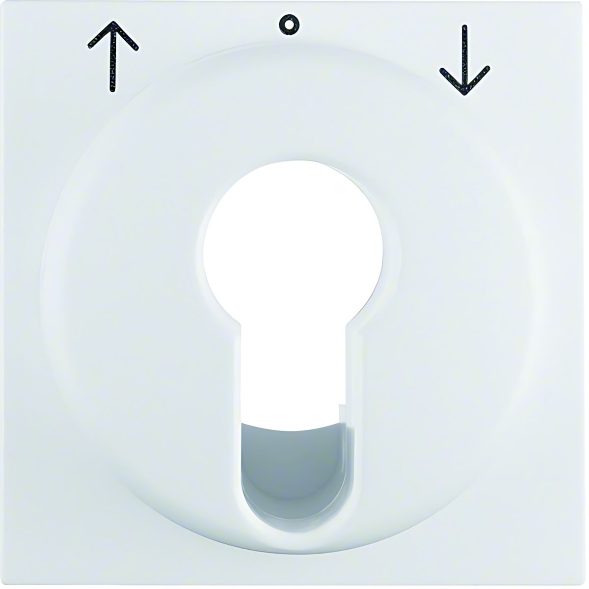 Berker Zentralstück 15081909