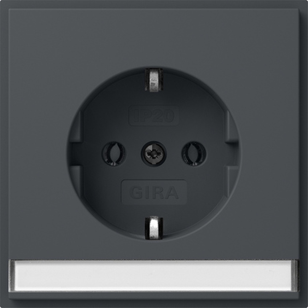 Gira SCHUKO Steckdose 446267