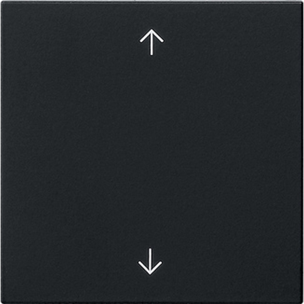 Gira Wippe 1fach 5389005