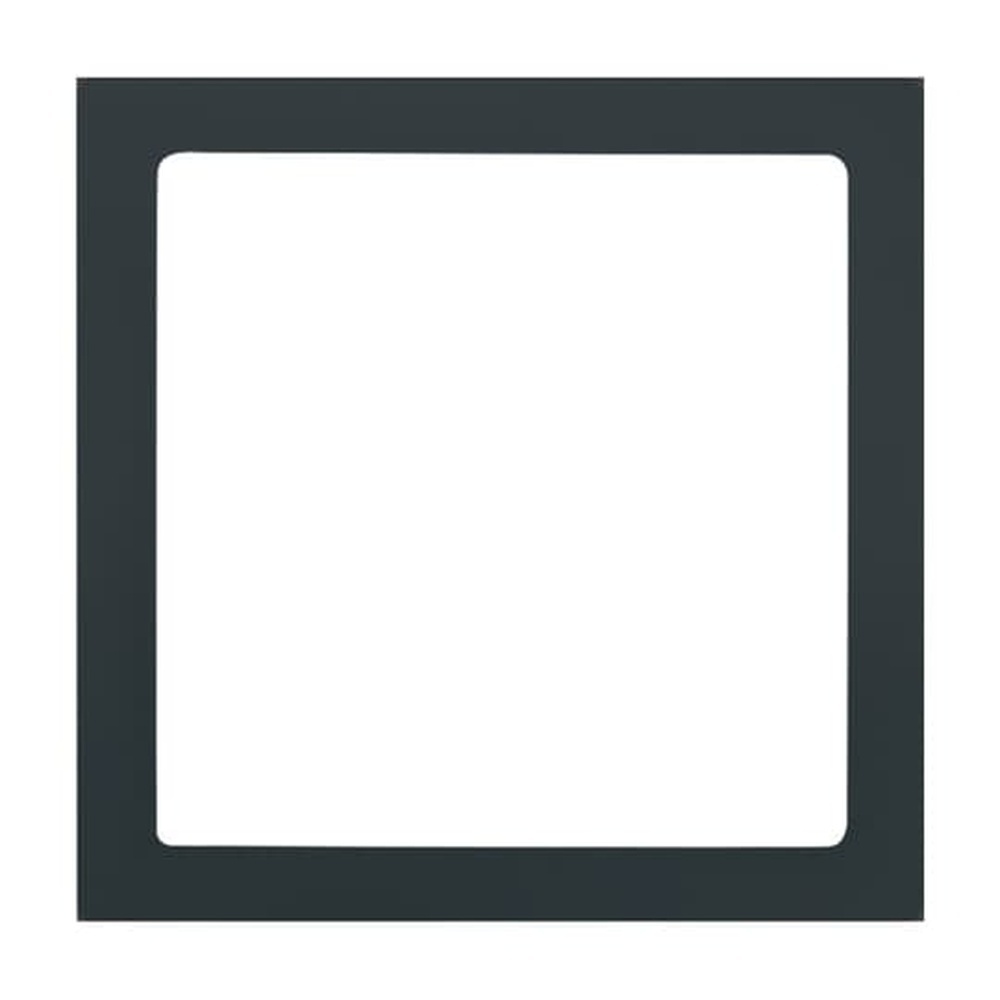 Busch-Jaeger Zentralscheibe 1716-81 Nr. 2CKA001731A1921