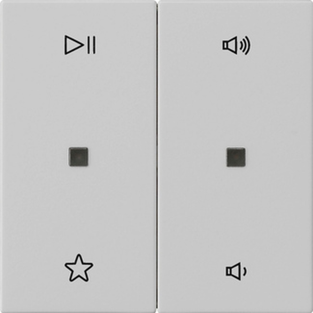 Gira Wippe 2fach 5384015