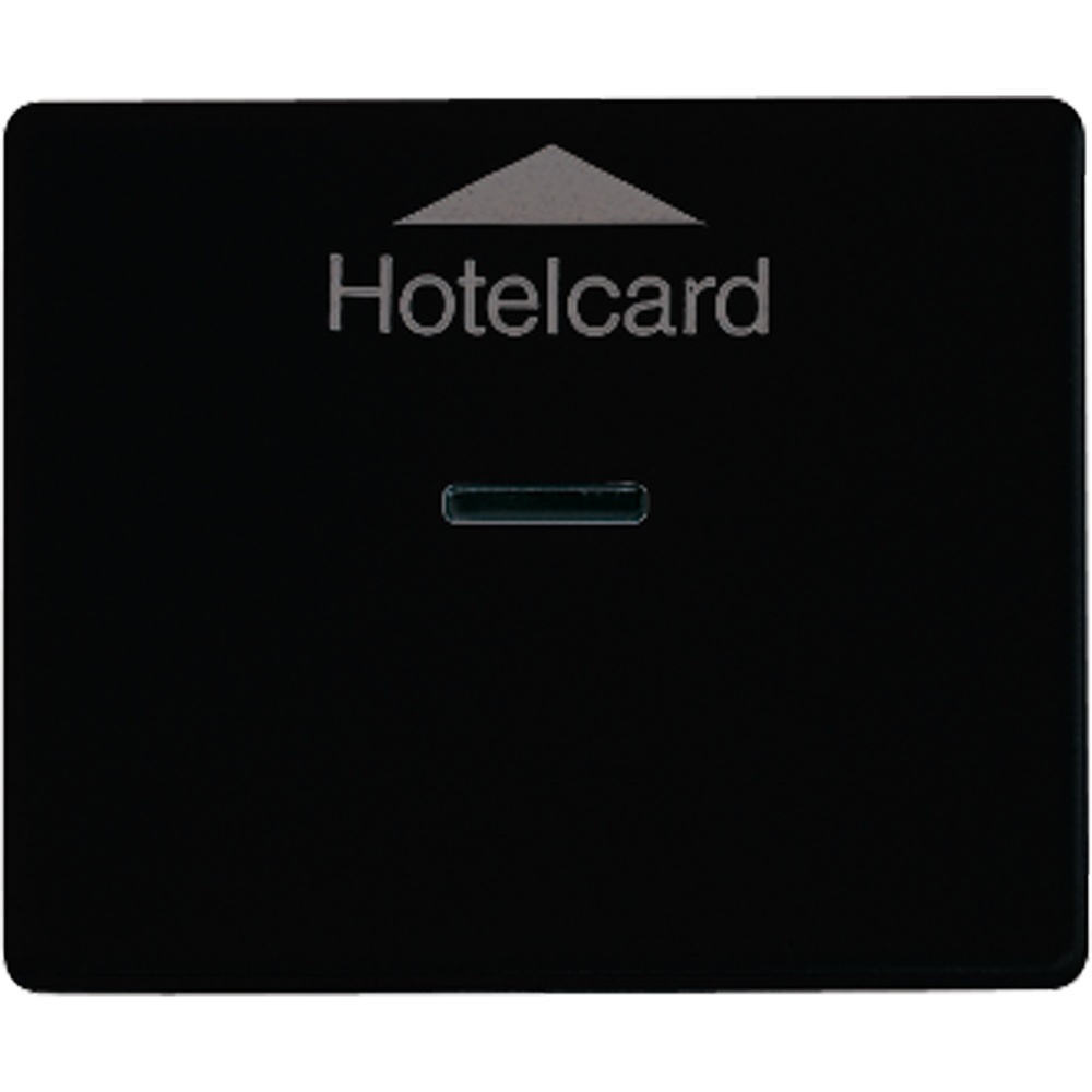 Jung Hotelcard Schalter SL590CARDSW