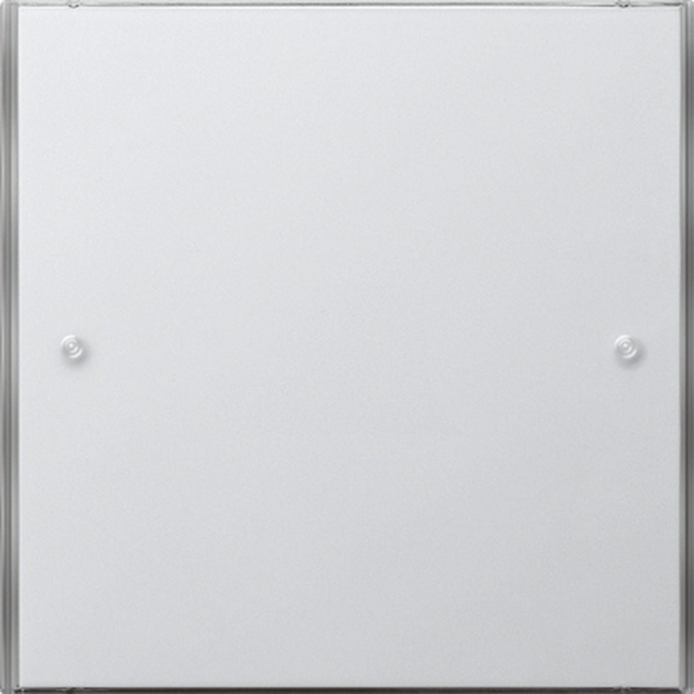 Gira Tastsensor 2031112