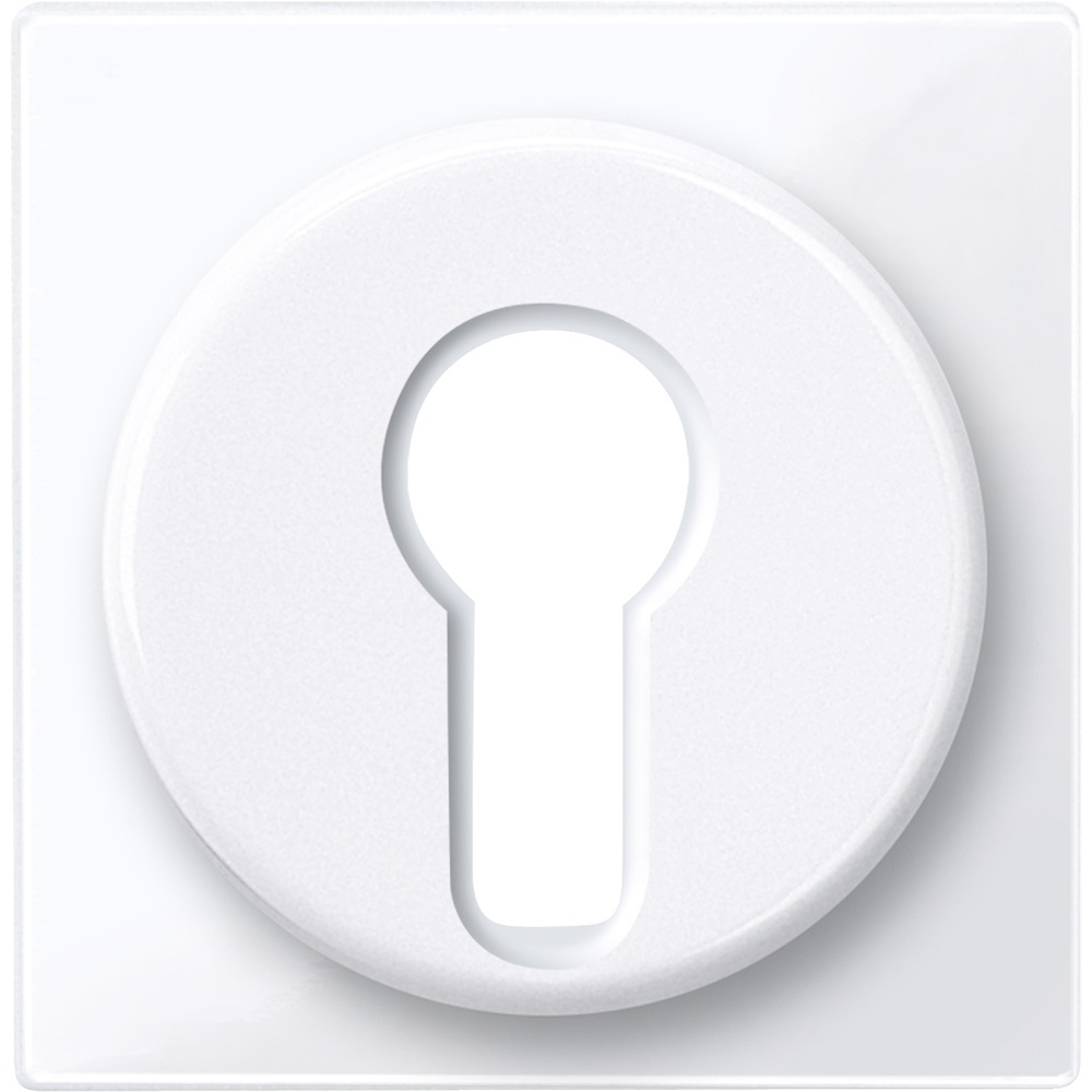 Merten Zentralplatte 319525