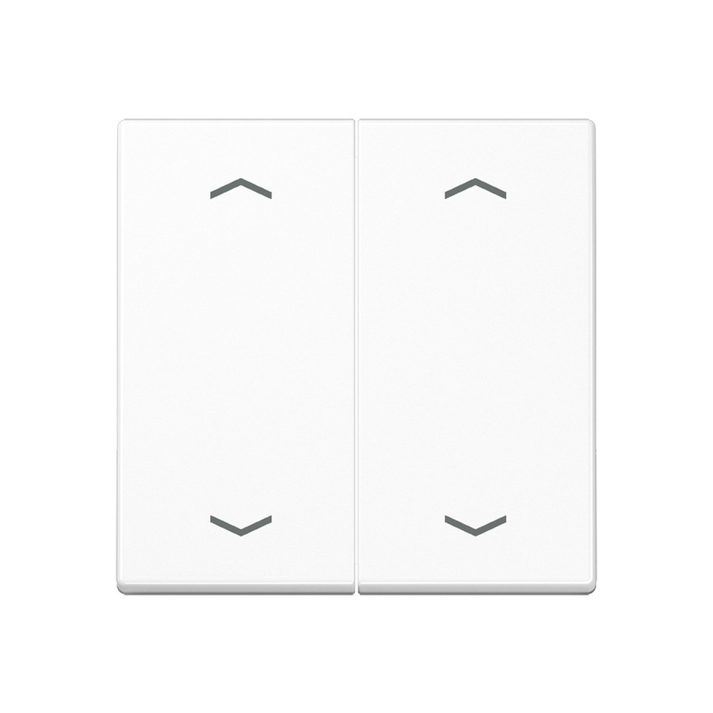 Jung Serienwippe A102PWW