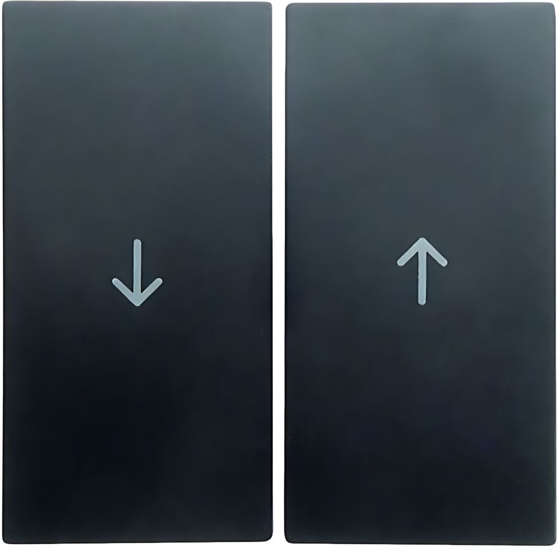 Berker Wippen 16251606