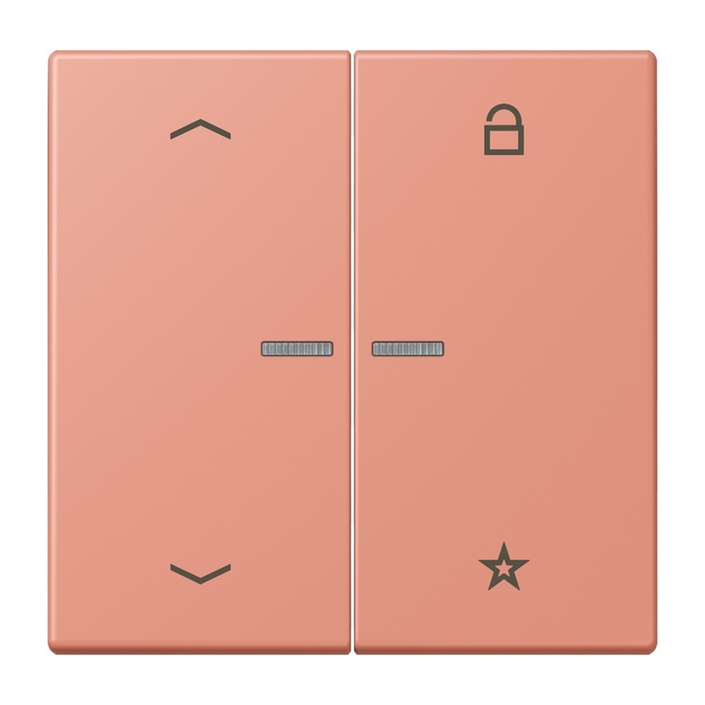 Jung Taster FMLC1701P233