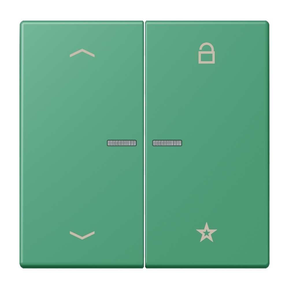 Jung Taster FMLC1701P250