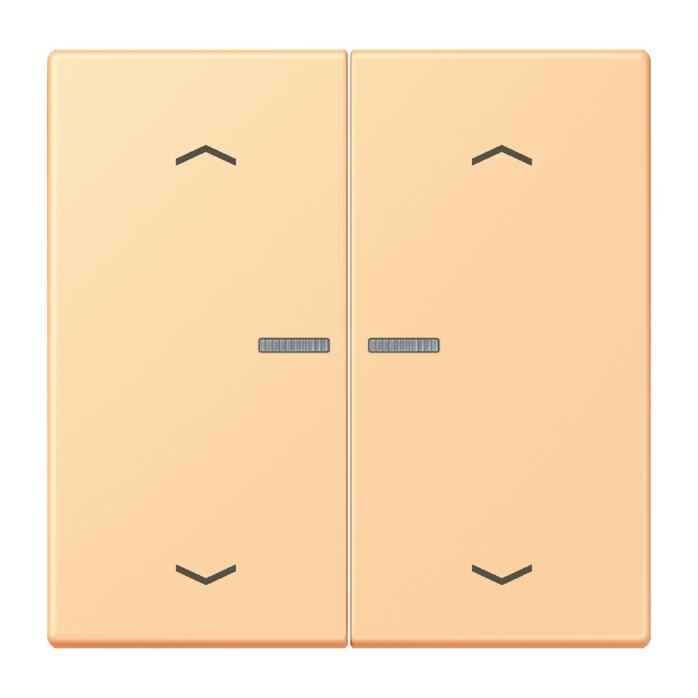 Jung Wippe mit Lichtleiter LC102KO5P258