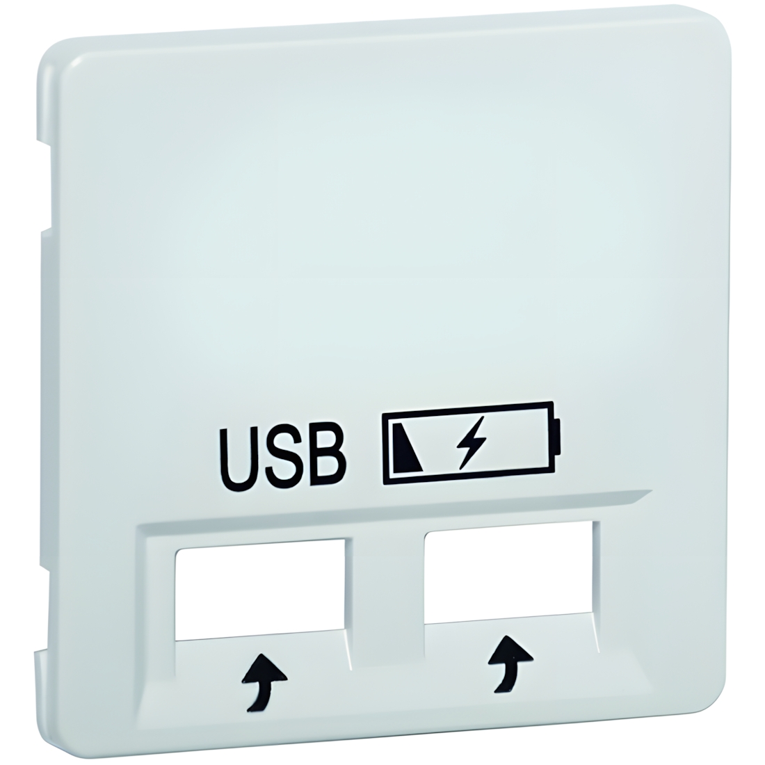 Peha Zentralplatte D 95.610.02 USB SPV Nr. 00239813