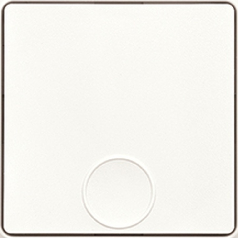 ELTAKO Funktaster 30055713 Typ F1T55E-pm