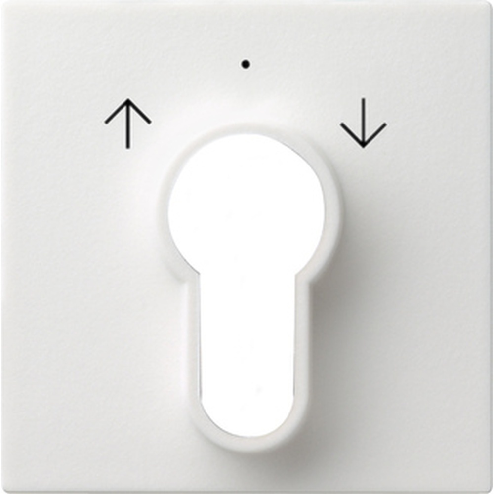 Gira Abdeckung Schlüsselschalter 066403