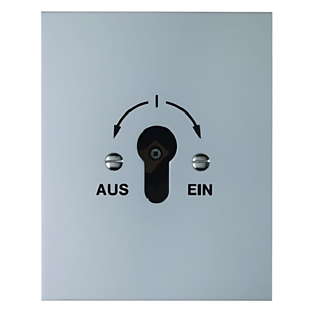 Berker Schlüsselschalter 4416