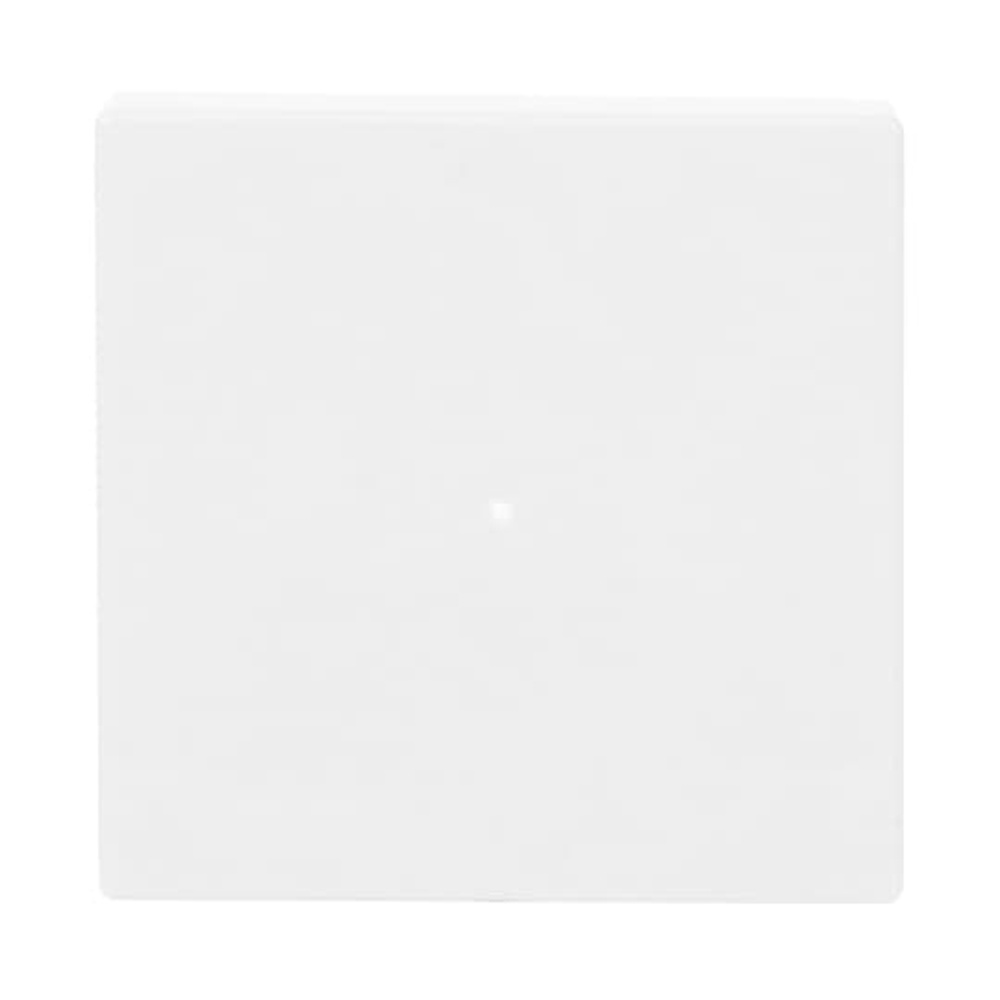 Busch-Jaeger Wippe 6230-10-84 Nr. 2CKA006220A0034