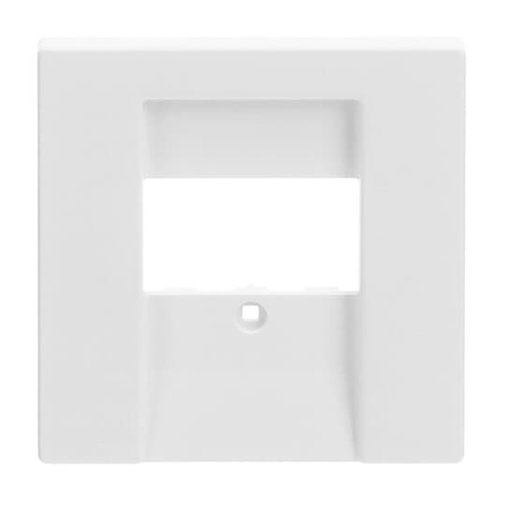 Busch-Jaeger Zentralscheibe 1766-884 Nr. 2CKA001710A3926