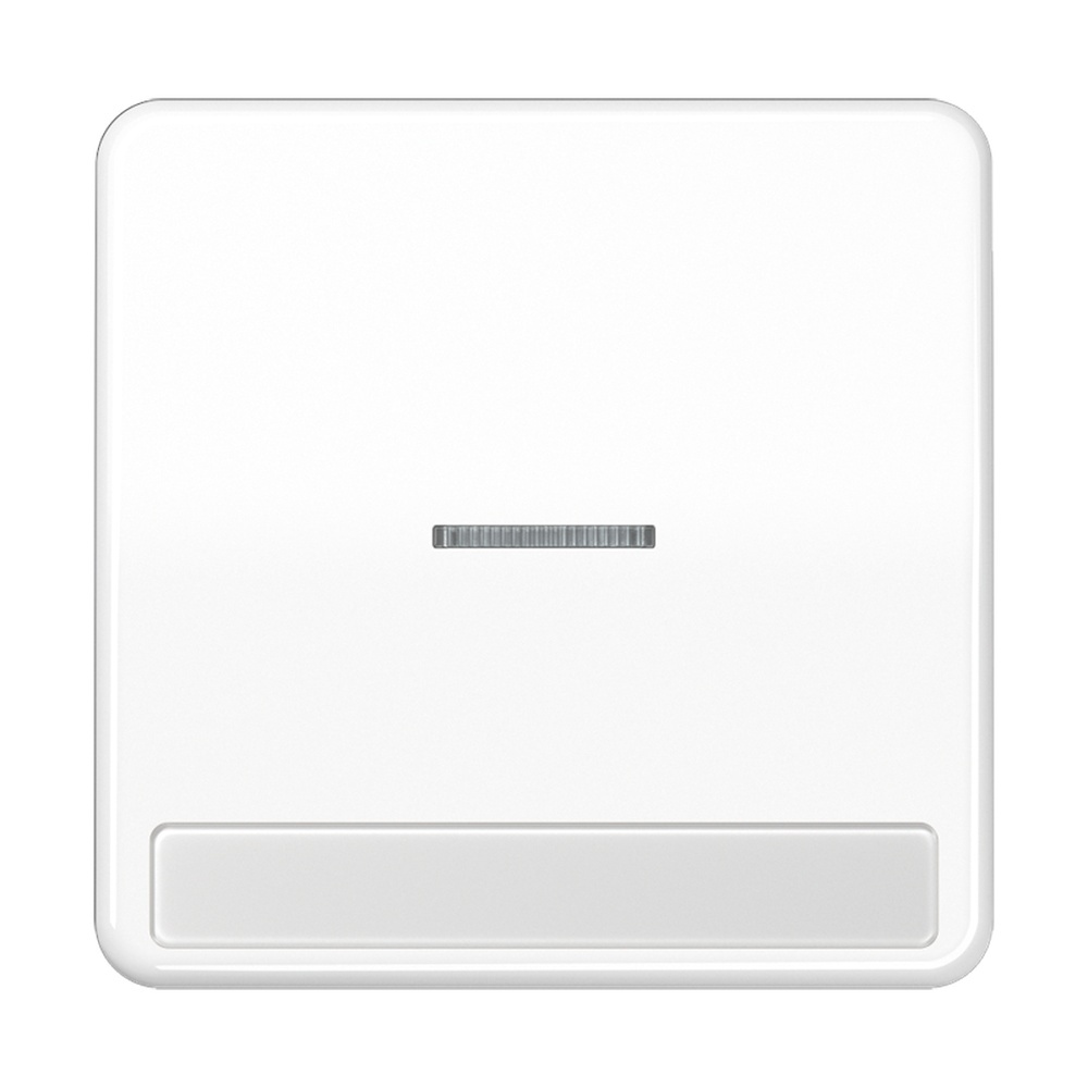 Jung Wippe CD 590 NAKO5 WW