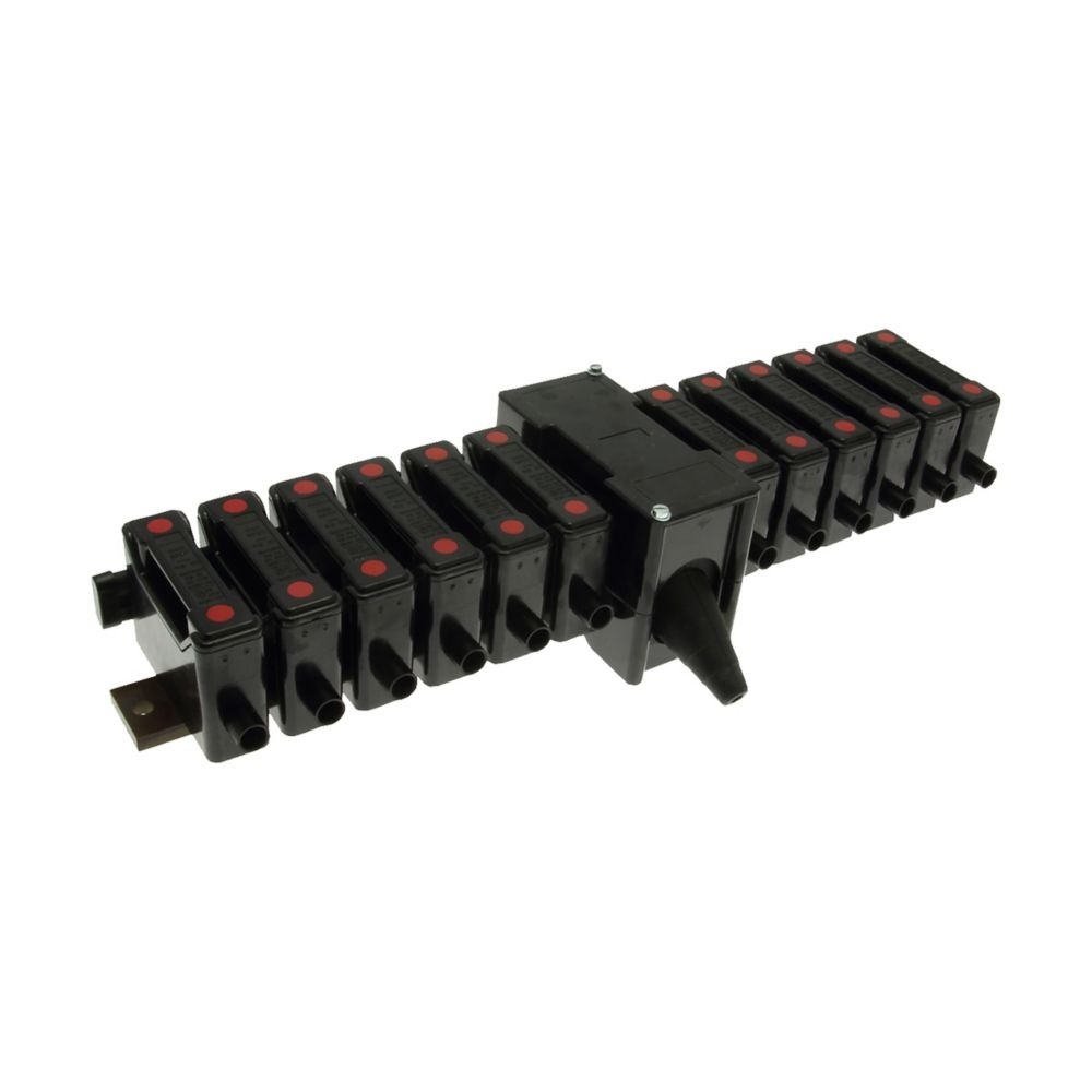 Eaton Sicherungssockel RSFB3212 Typ RED SPOT FUSEBANK 32A 660V AC 12 WAY