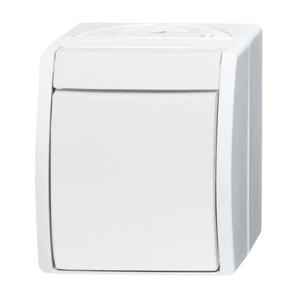 Busch-Jaeger Wippschalter 2601/2 W-54 Nr. 2CKA001085A1627