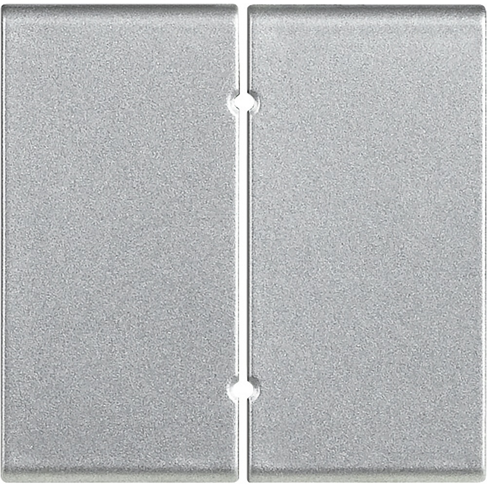 Bticino Wippe NT4919