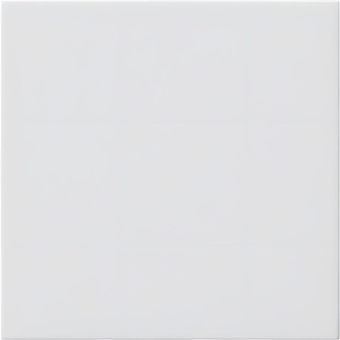 Gira Blindabdeckung 810803