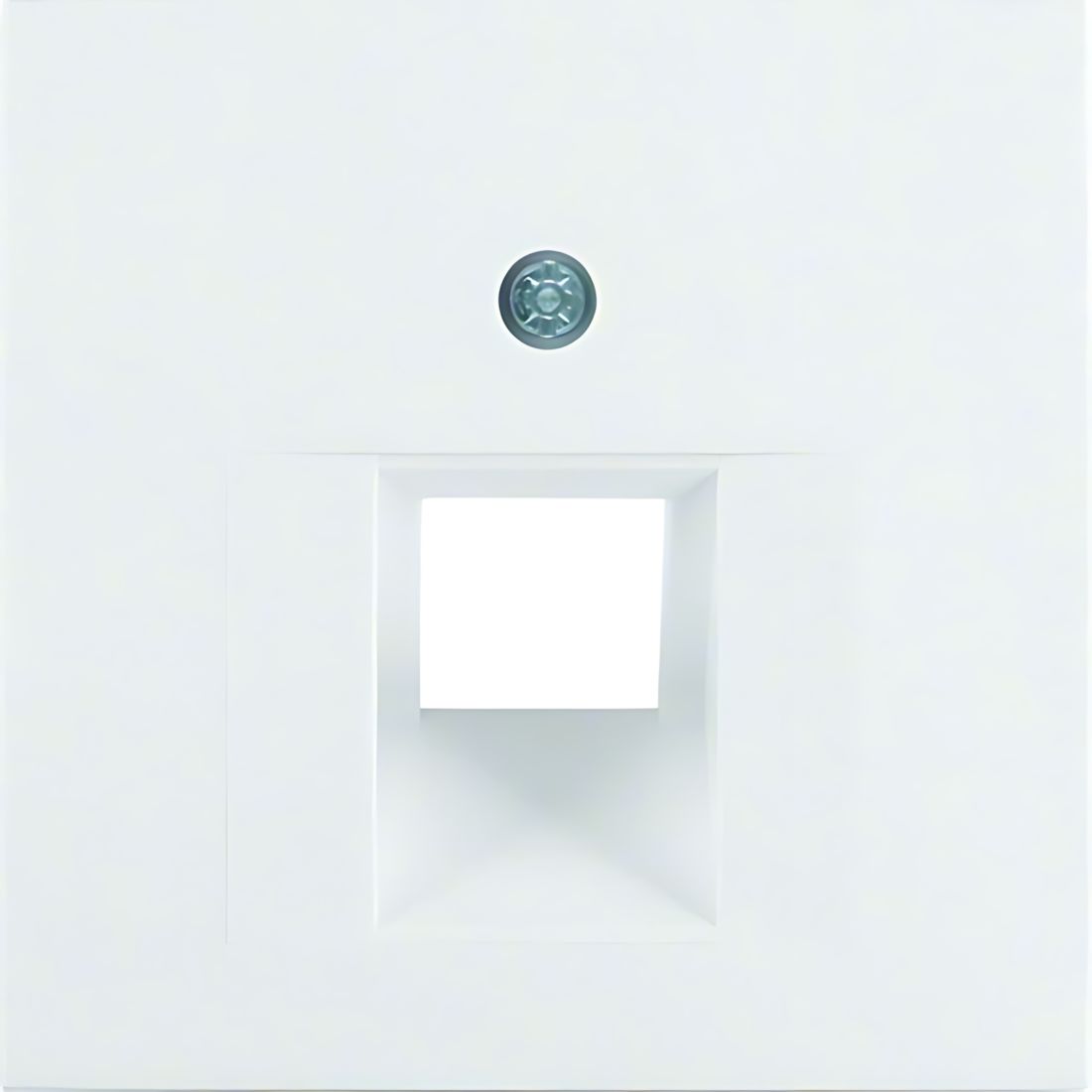 Berker Zentralstück 14071909