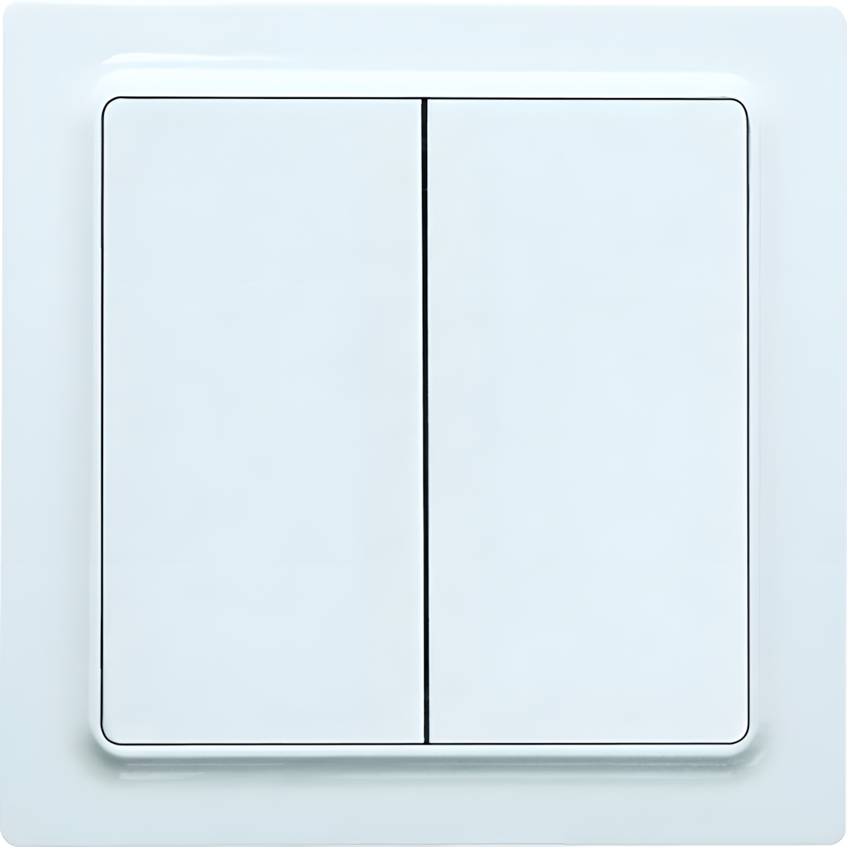 Eltako Wipptaster m. Doppelwippe 30055712 Typ W2T55E-wg