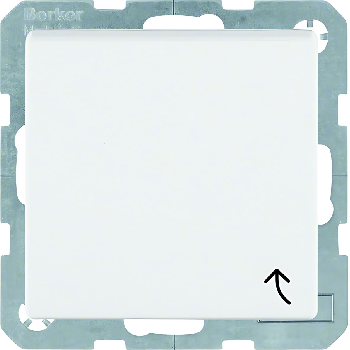 Berker Erdstift Steckdose 6768771909