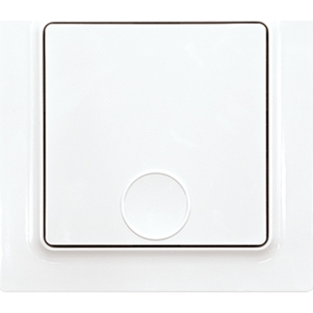 ELTAKO Funk 1Kanal Taster 30055725 Typ F1T55E-wg