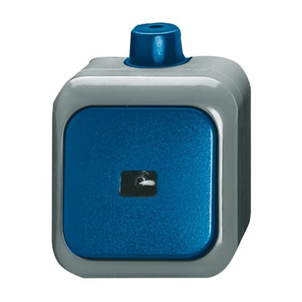 Busch-Jaeger Wipptaster 2621 WDI Nr. 2CKA001483A0171