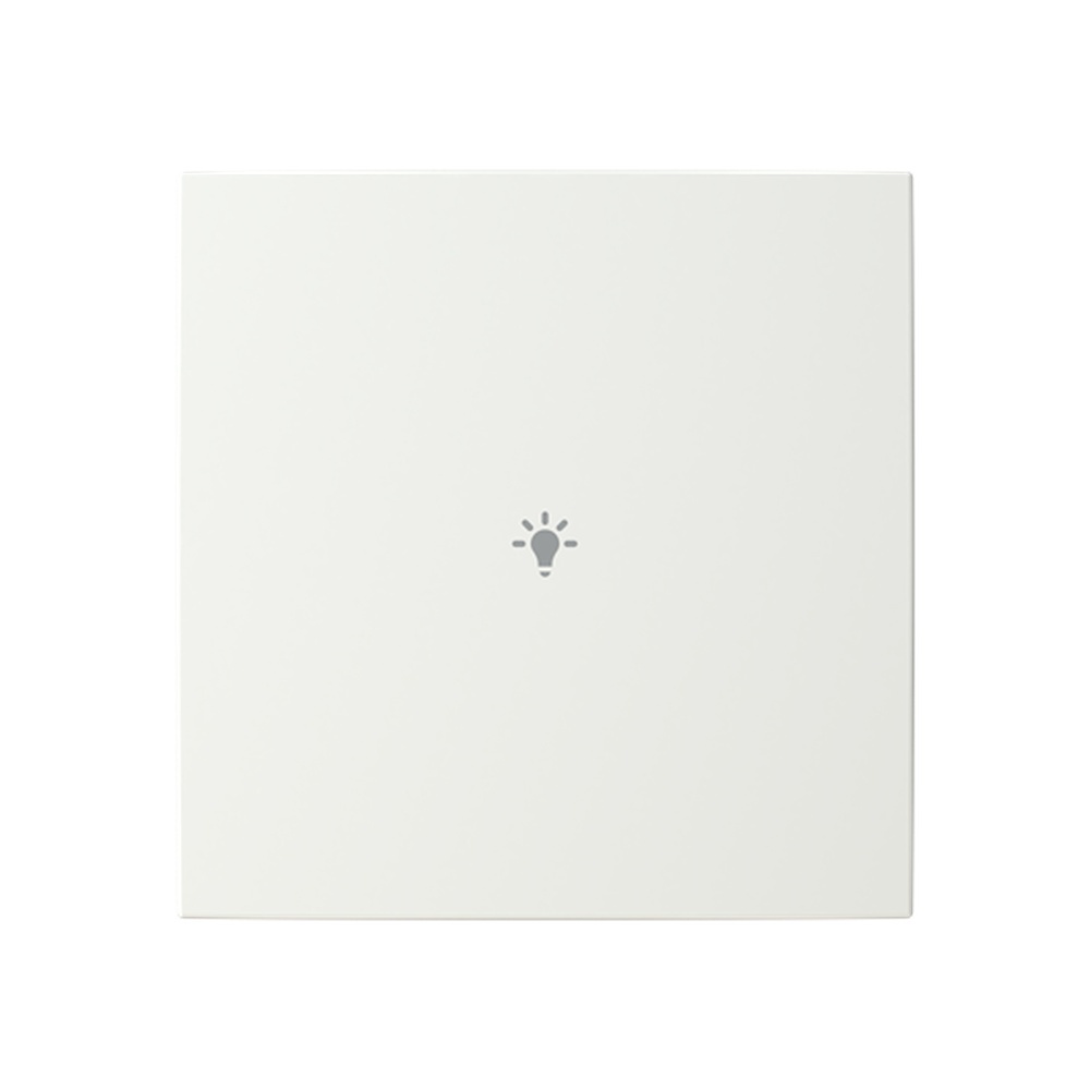 Busch-Jaeger Abdeckung LFBT/A.1.55.11-914 Typ 2CKA006199A0167