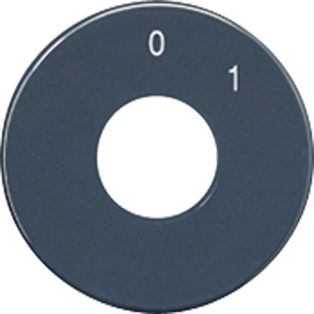 Jung Skalenscheibe SKS 1101-20