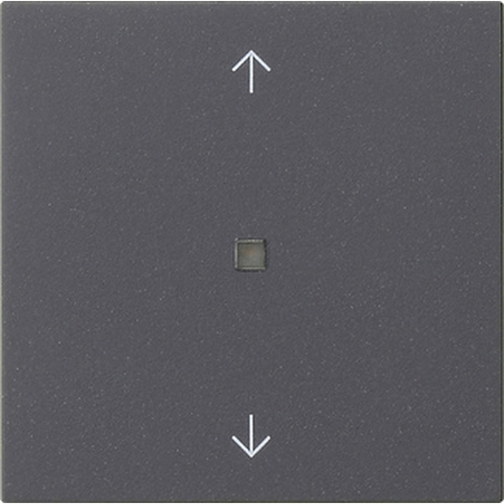 Gira Wippe 1fach 538828