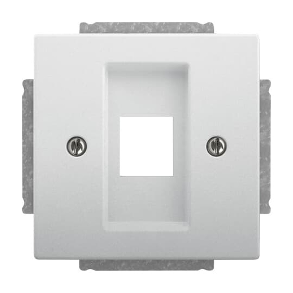 Busch-Jaeger Zentralscheibe 2561-866 Nr. 2CKA001753A0404