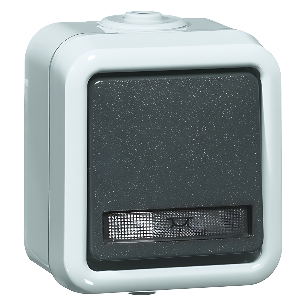 Peha Wechseltaster 00303611 Typ D 656 WAB