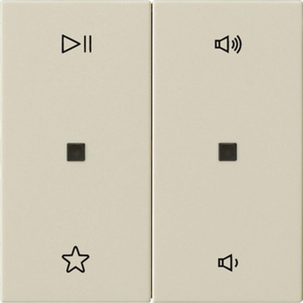 Gira Wippe 2fach 538401