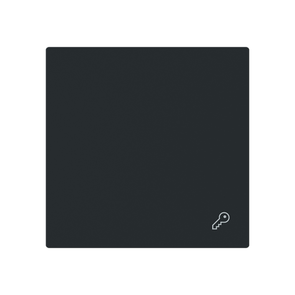 Busch-Jaeger Wippe 2520 TR-45M Typ 2CKA001751A3352