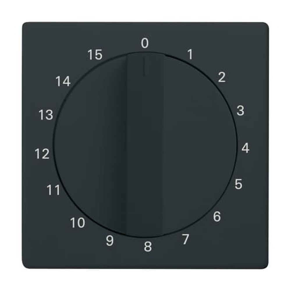 Busch-Jaeger Zentralscheibe 1770-81-103 Nr. 2CKA001753A0255