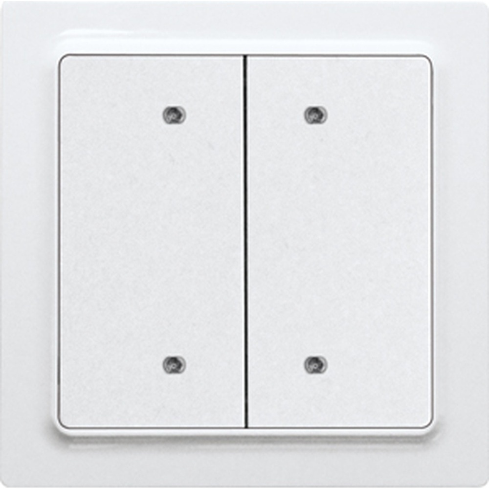 ELTAKO Bus Taster 30055651 Typ B4T55E-pg