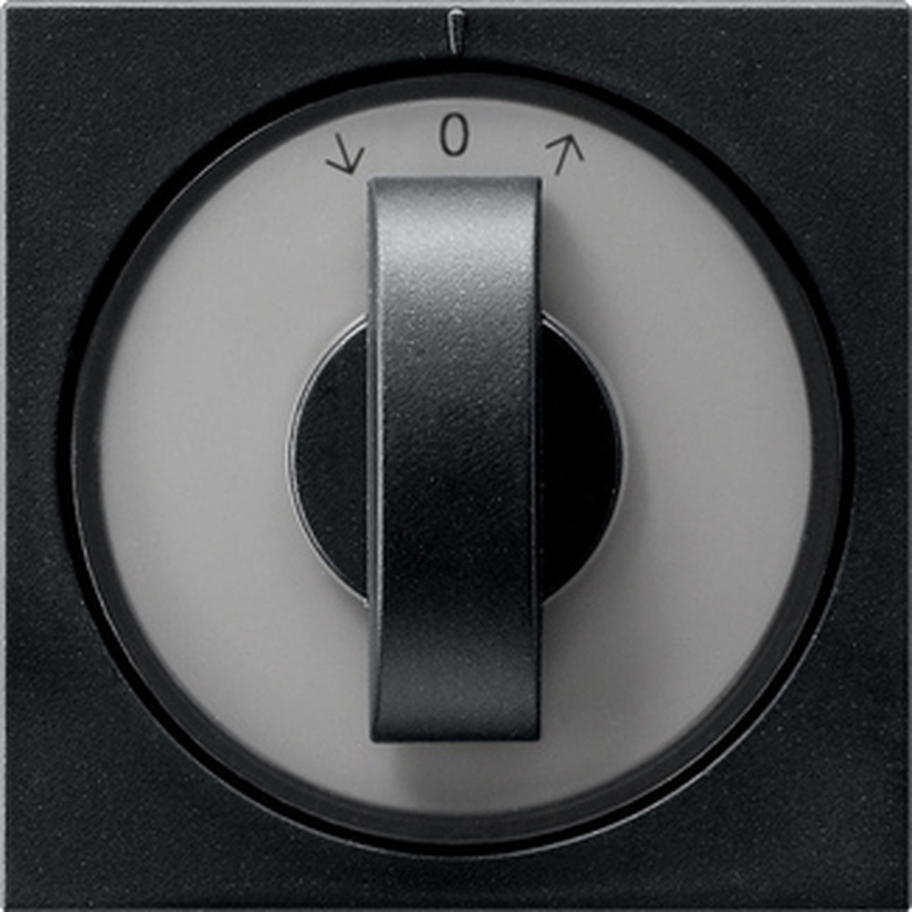 Gira Abdeckung 0666005