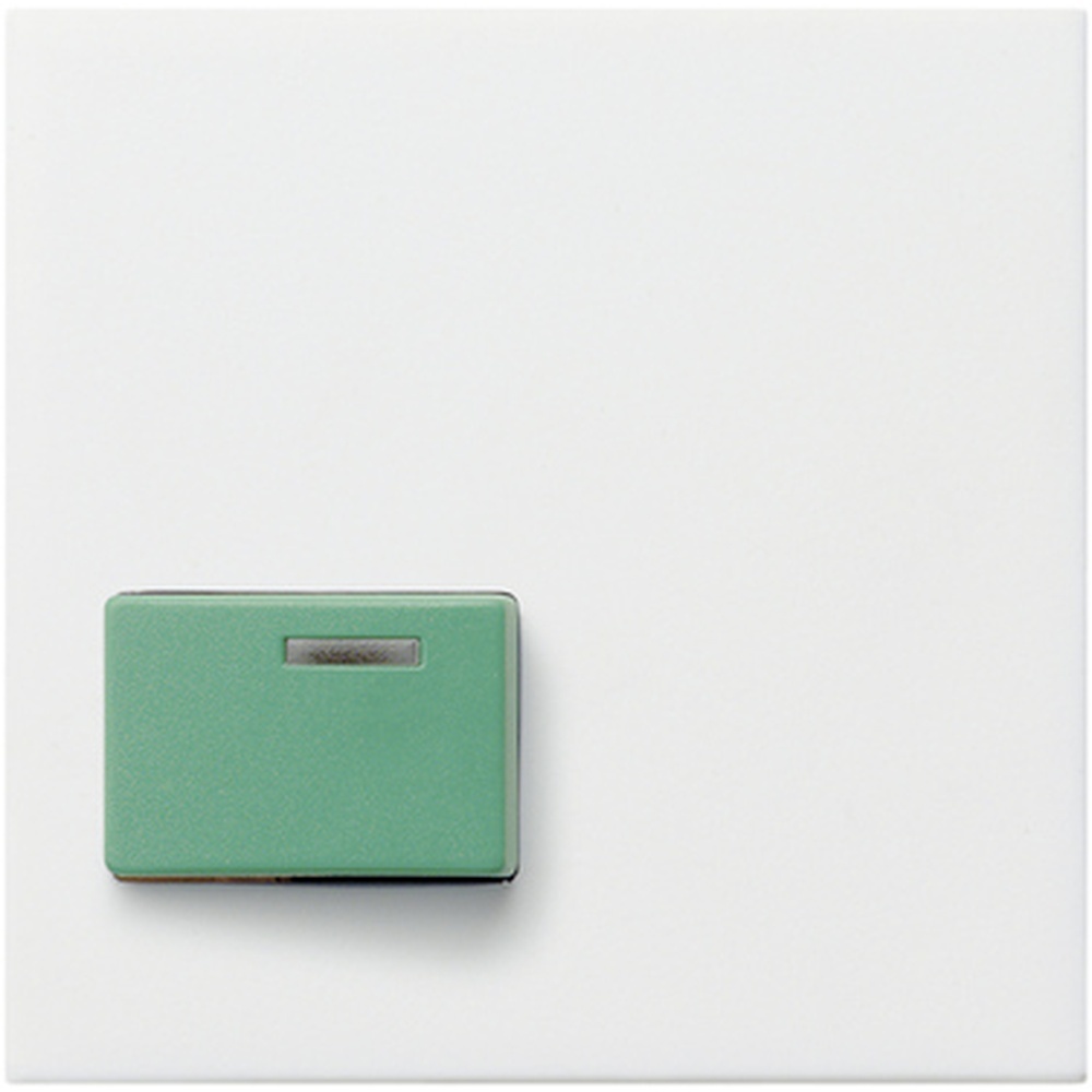 Gira Abdeckung Ackermann 024603