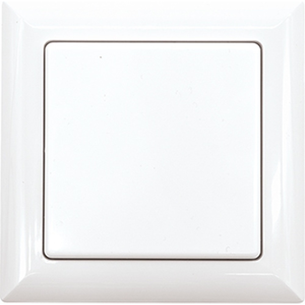 ELTAKO Funktaster 30000595 Typ FT55-wg