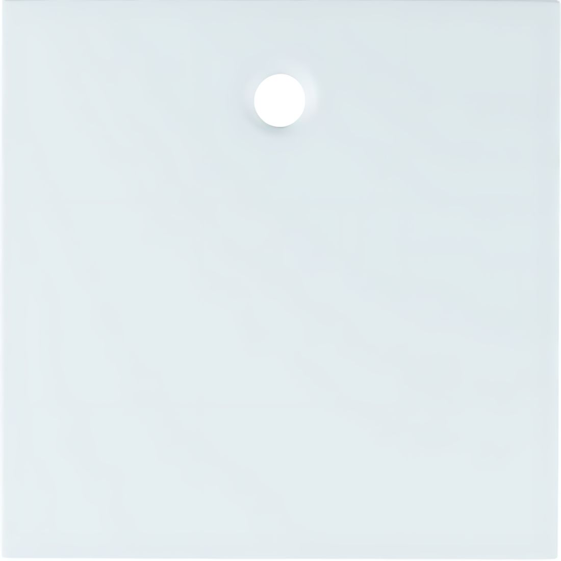 Berker Zentralstück 11461909