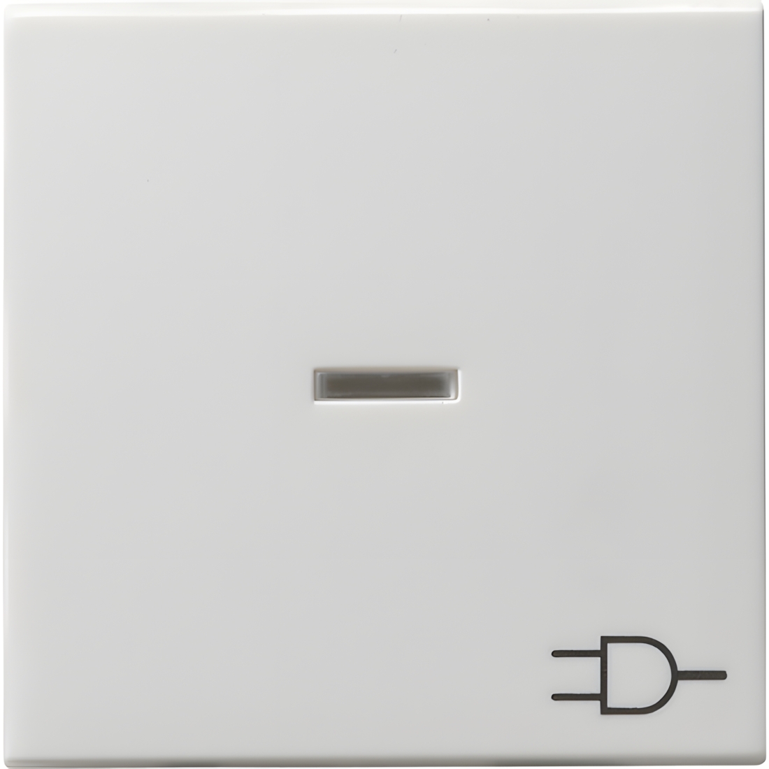 Gira Wippe Kontroll Symbol 020903