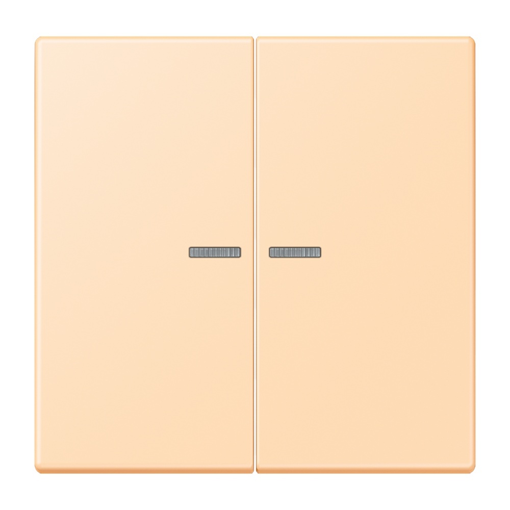 Jung Wippe mit Lichtleiter für Taster 2fach LC102KO5223