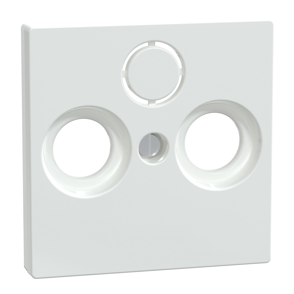 Merten Zentralplatte 296725