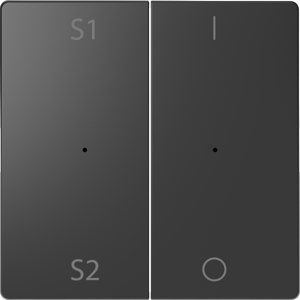 Merten Wippe MEG5228-6034