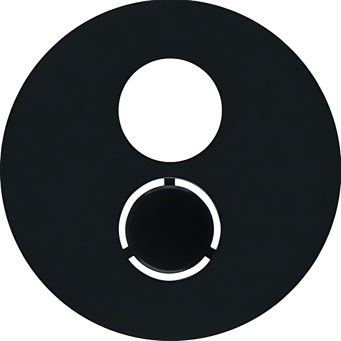 Berker Zentralstück 11962045