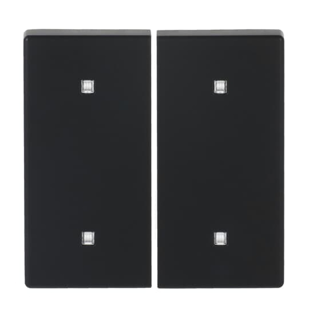 Busch-Jaeger Wippe Elektroniktaster 2fach 2570-20-885 Nr. 2CKA001751A3273