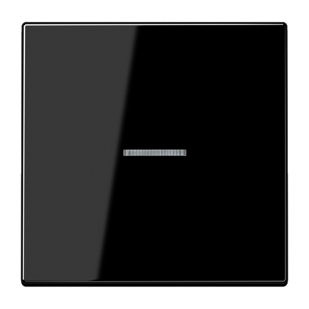 Jung Wippe m. Lichtleiter LS101KO5SW