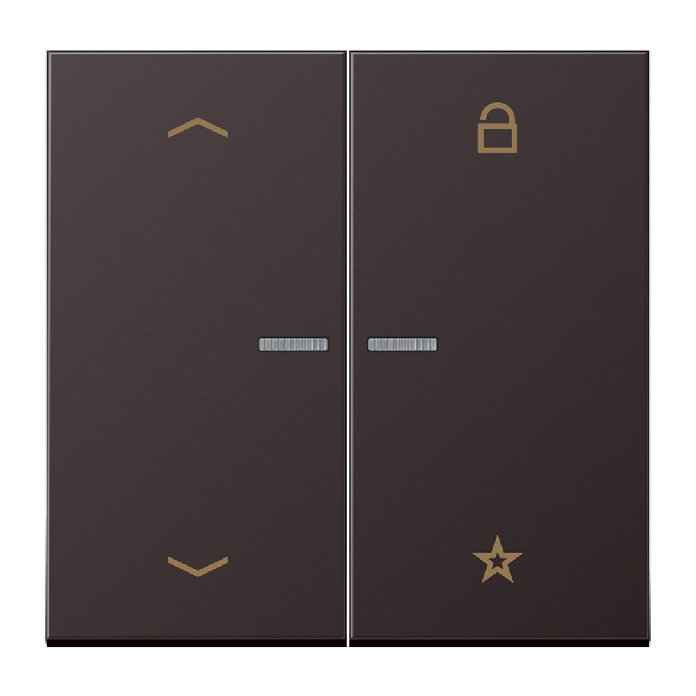 Jung eNet Funk Steuertaste FMAL1701PD